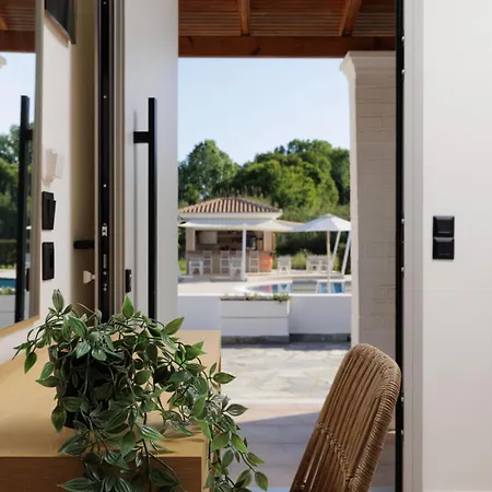 Santos Apartments & Studios Dassia  Room photo