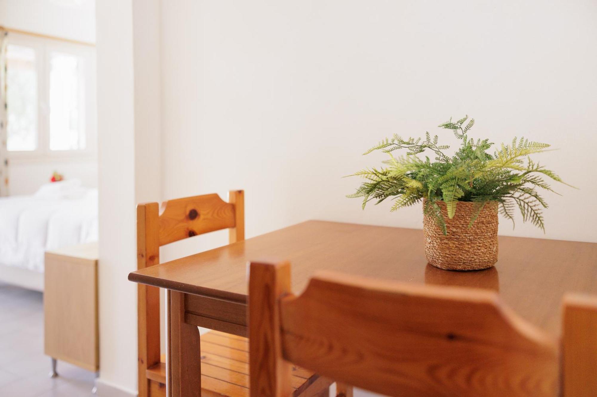 Apartment Santos &